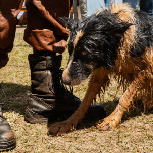 Rompimento de barragem causa desastre humano e ambiental na cidade de Brumadinho [este é o Thor]